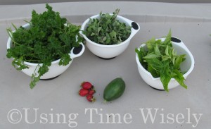 Using Time Wisely's 2012 Garden - harvest in July