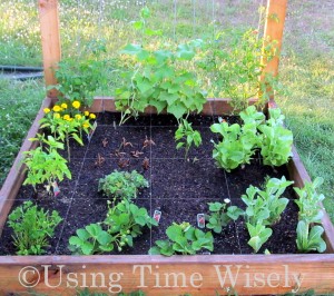 Using Time Wisely's 2012 Garden - pruned for July