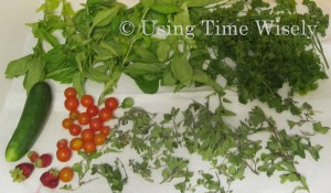 2012 Garden update - August herbs