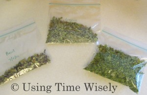 Drying herbs of basil, oregano, and parsley
